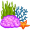 coral5