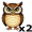 owls5