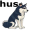 husky5