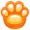 paw5