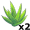 aloes5