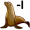 seal5