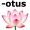 lotus5