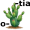 opuntia5