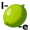 lime5