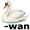 swan2