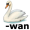 swan5