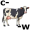 cow5