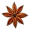 anise5