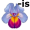iris5