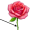 stem5