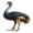 emu5