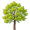 aspen5