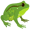 toad5