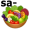 salad5