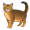 cat5