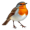 robin5