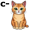cat5