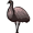emu5