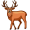elk5