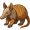armadillo5