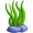 seaweed5