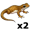 newt5