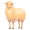 ewe5
