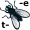 tsetse5