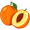 apricot5