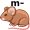 mouse5
