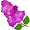 lilac5