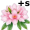 azaleas5