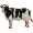 cow5