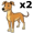 dog5
