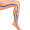 vein5