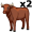 oxen5