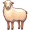 ewe5
