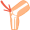 kneecap5