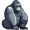 gorilla5