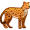 leopard5