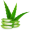 aloe5
