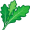 arugula5