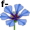 flax5