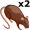 rats5