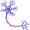 neuron5