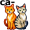 cats5