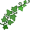 ivy5