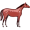 roan5