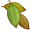 bay5